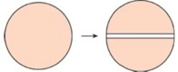 image-20250803125500381